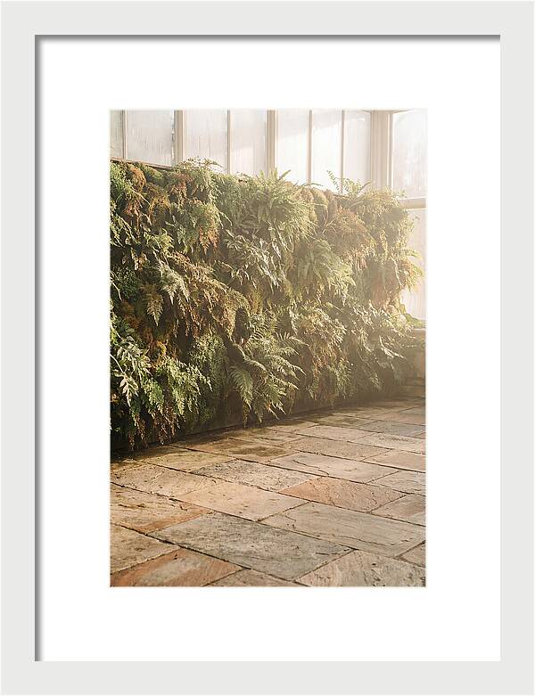 Garden Oasis With Living Wall