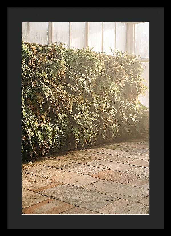 Garden Oasis With Living Wall