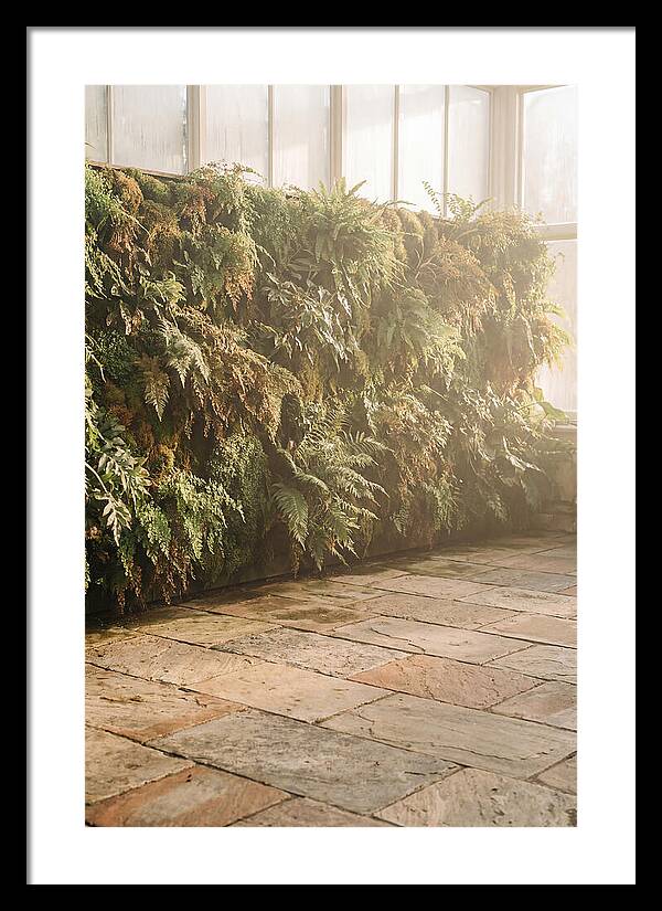 Garden Oasis With Living Wall