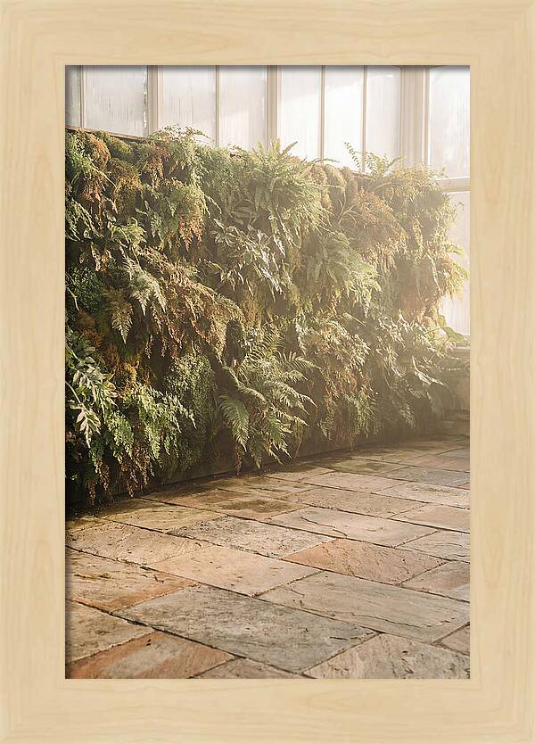 Garden Oasis With Living Wall