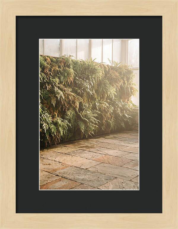 Garden Oasis With Living Wall