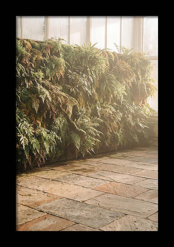 Garden Oasis With Living Wall