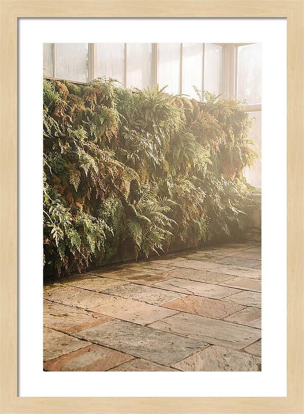 Garden Oasis With Living Wall