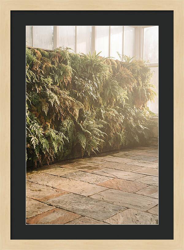 Garden Oasis With Living Wall