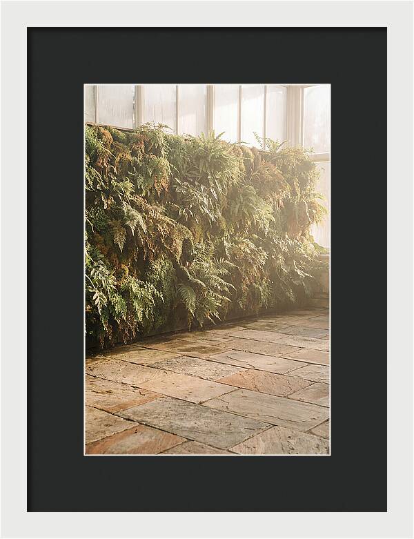 Garden Oasis With Living Wall