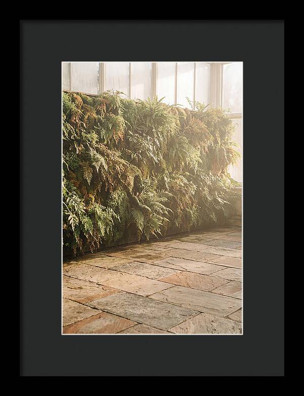 Garden Oasis With Living Wall