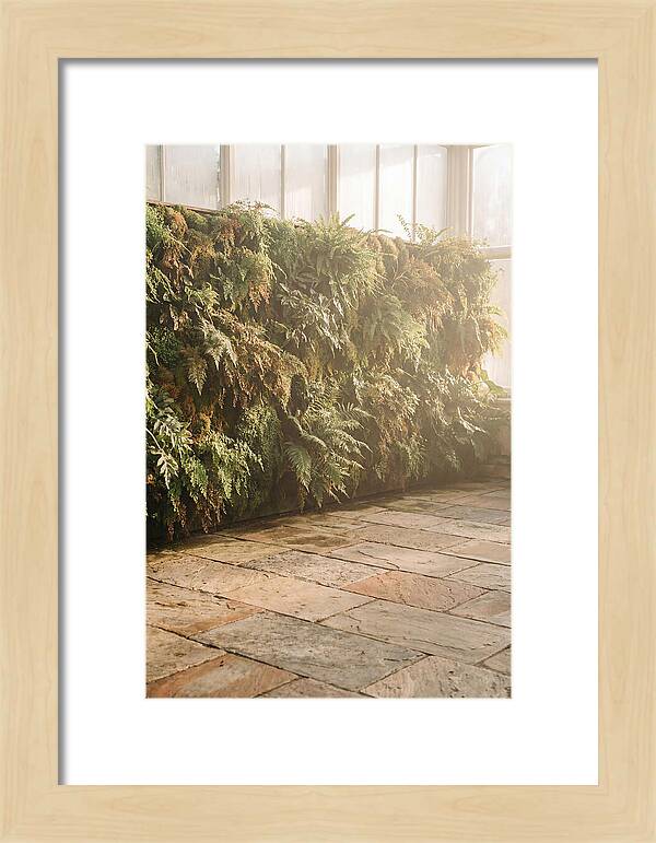 Garden Oasis With Living Wall