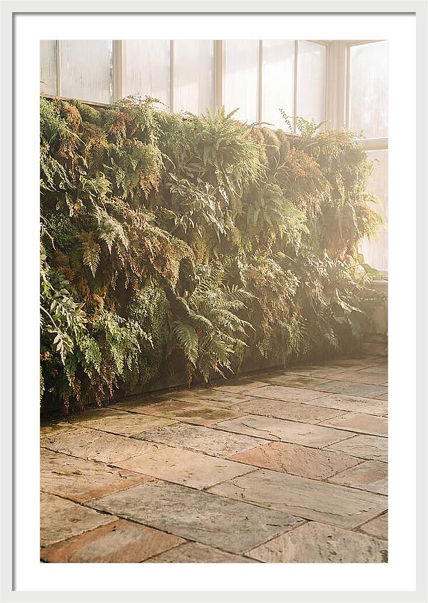 Garden Oasis With Living Wall