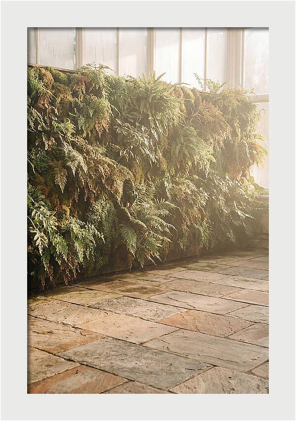 Garden Oasis With Living Wall
