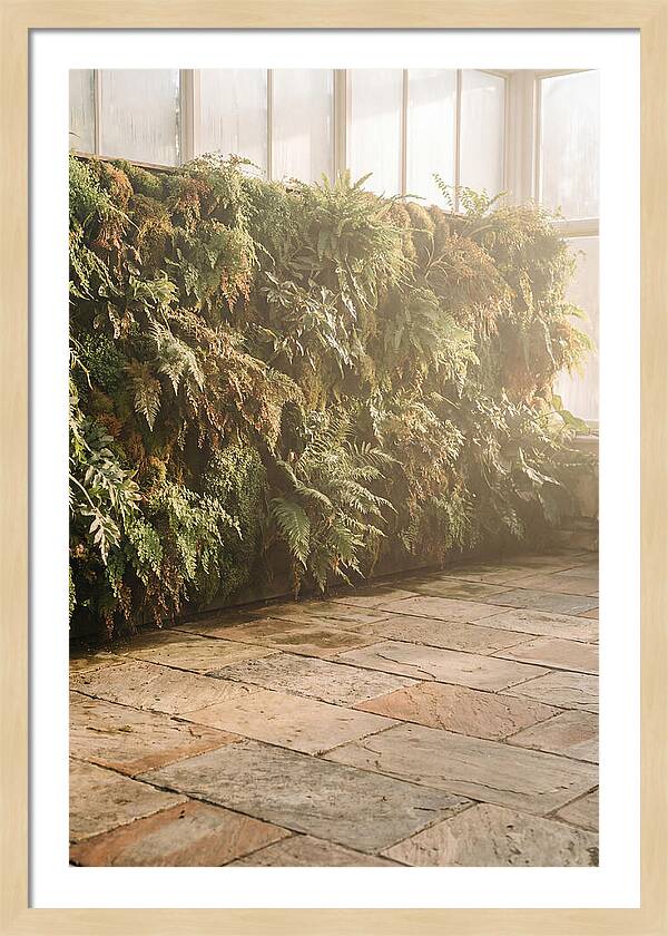 Garden Oasis With Living Wall