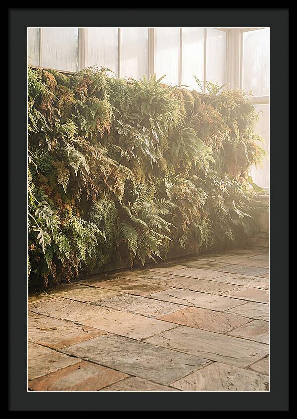 Garden Oasis With Living Wall