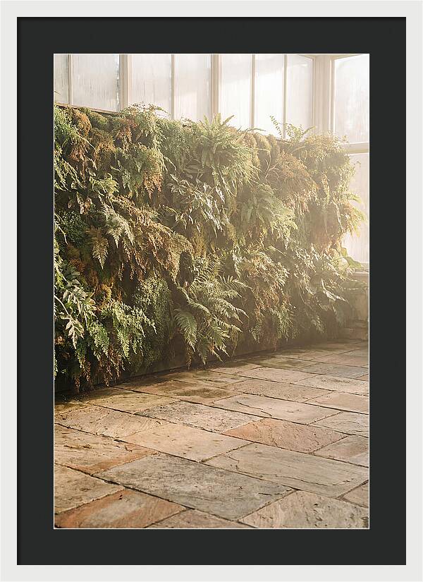 Garden Oasis With Living Wall