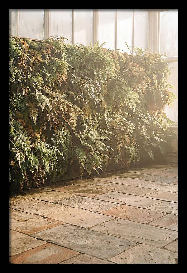 Garden Oasis With Living Wall