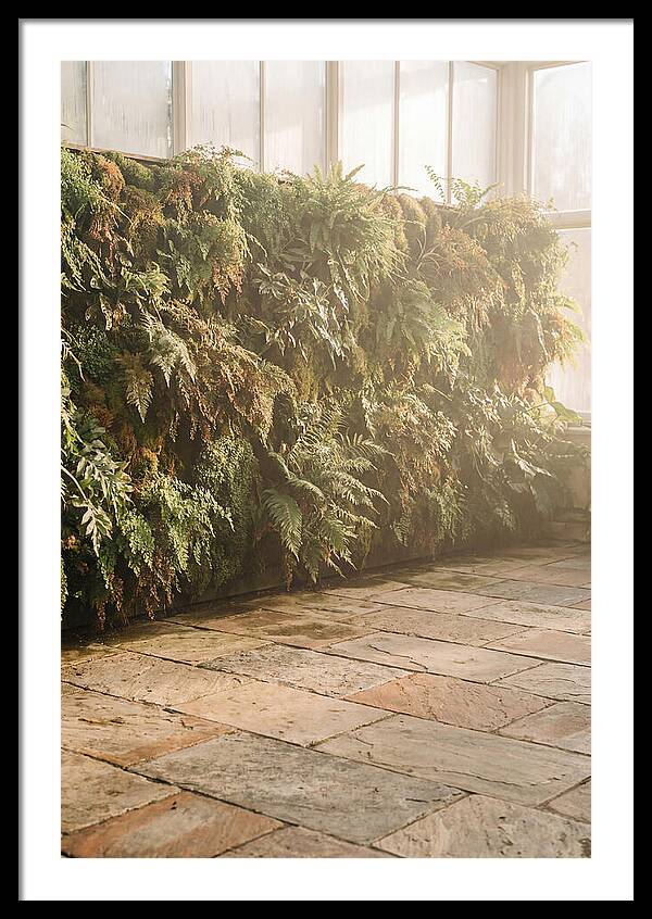 Garden Oasis With Living Wall