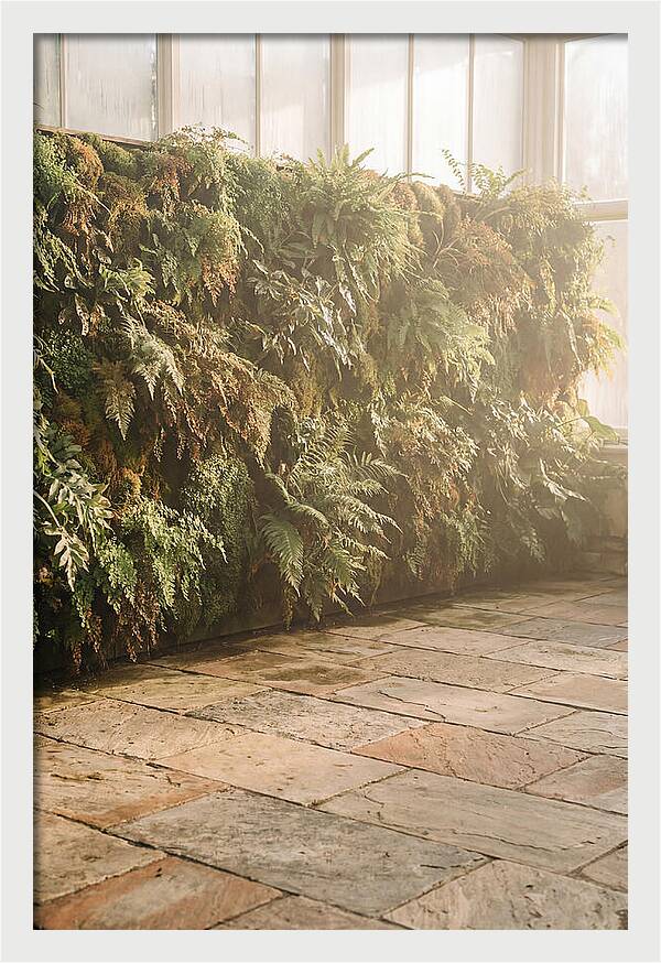 Garden Oasis With Living Wall