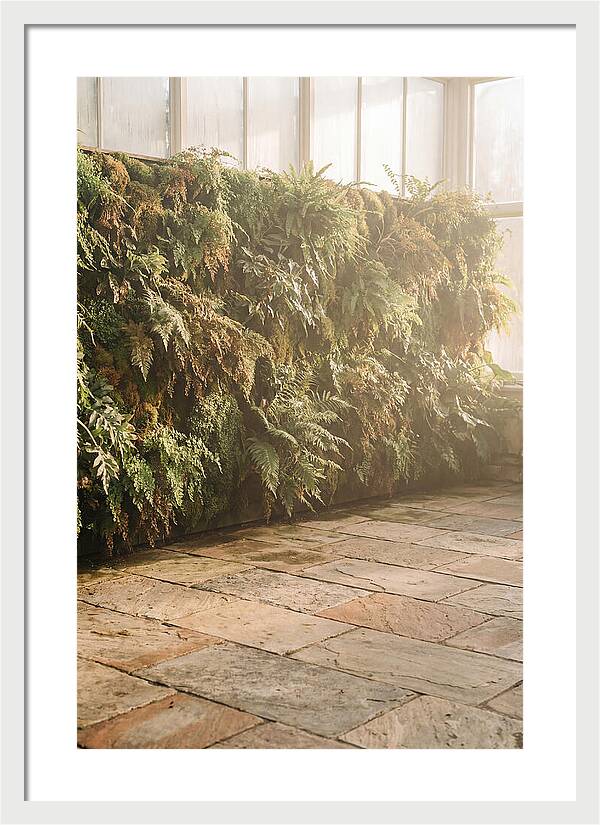Garden Oasis With Living Wall