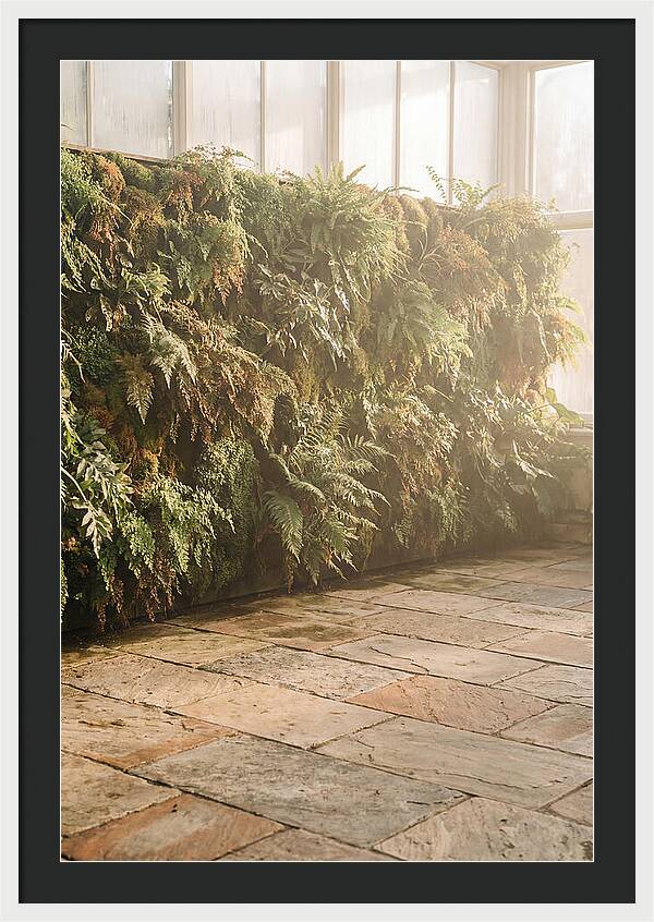 Garden Oasis With Living Wall