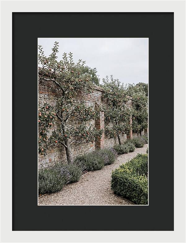 Garden Orchard With Espaliered Apple Trees