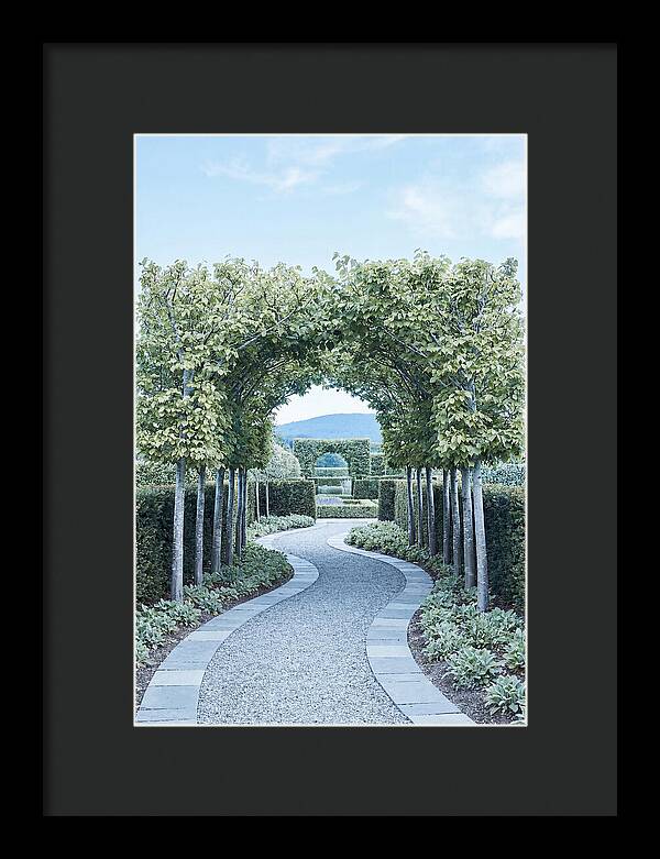 Garden Path Through Pleached Limbs