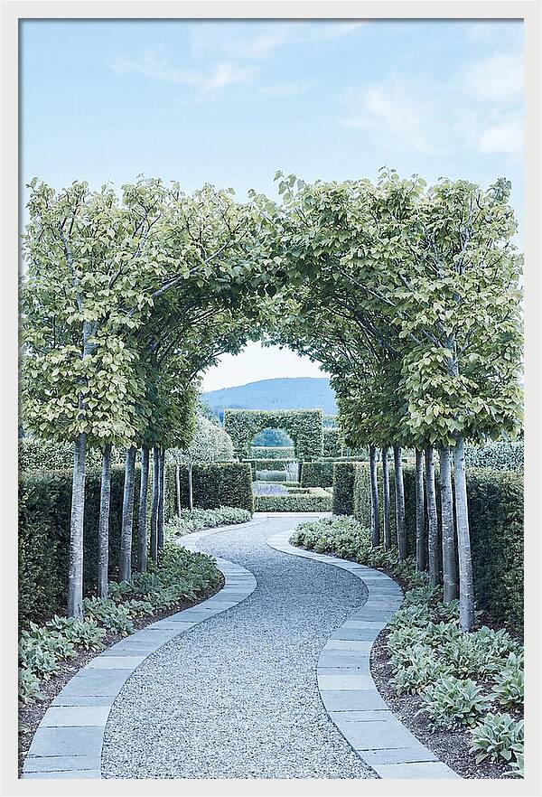 Garden Path Through Pleached Limbs
