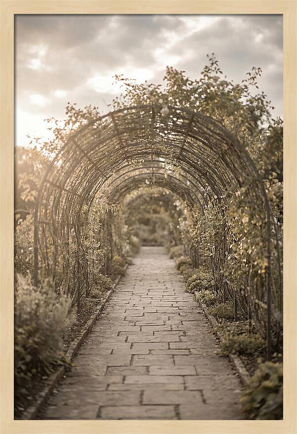 Garden Path Through Rose Tunnel