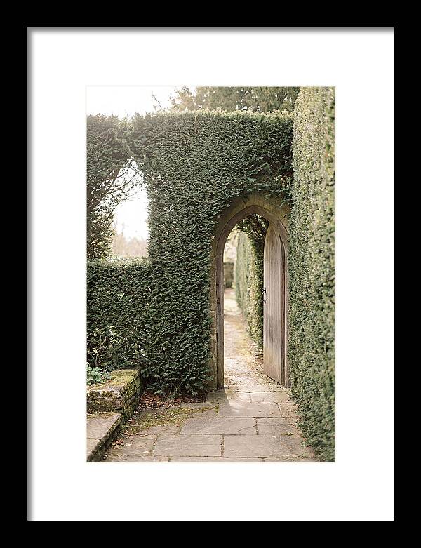 Garden Pathway Through Yew Hedges