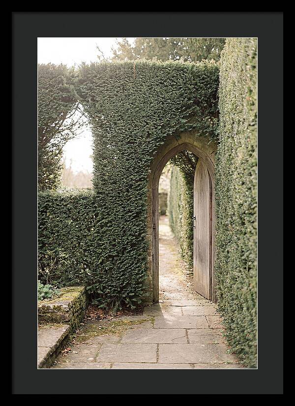 Garden Pathway Through Yew Hedges