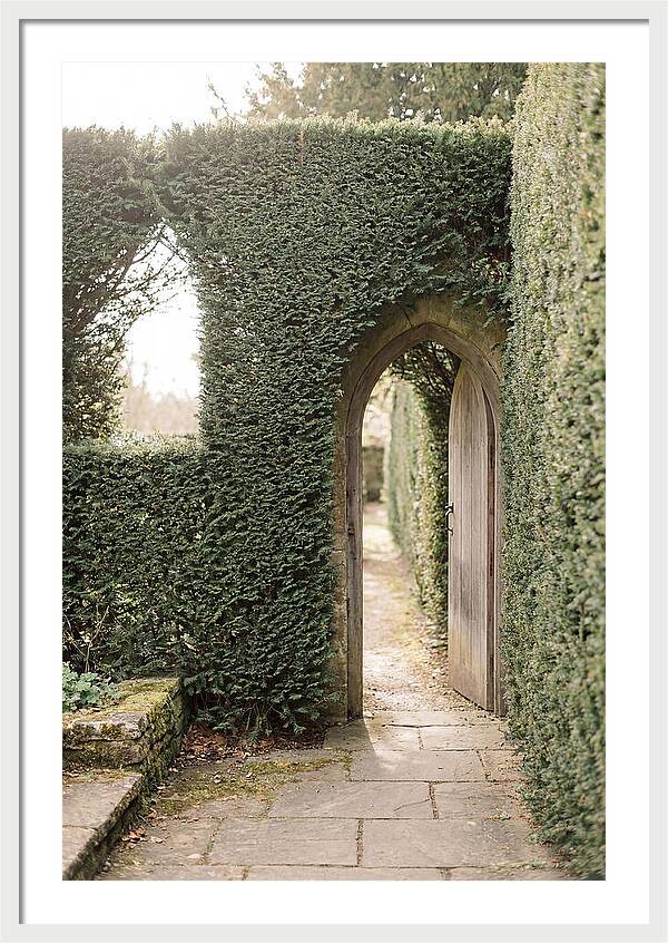 Garden Pathway Through Yew Hedges