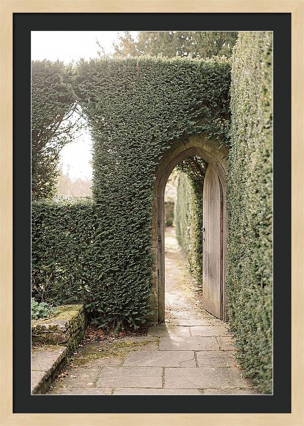Garden Pathway Through Yew Hedges