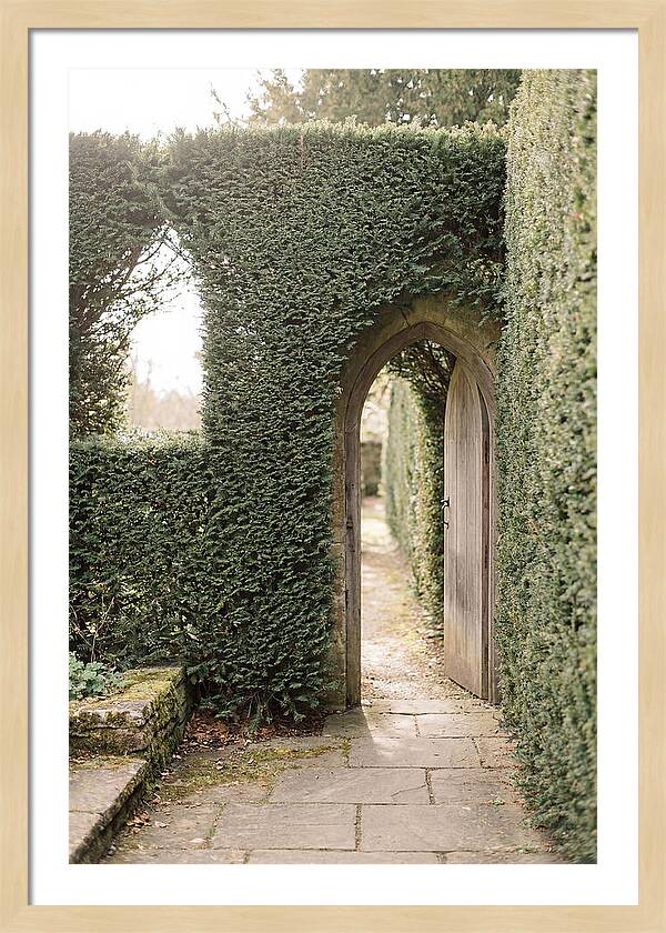 Garden Pathway Through Yew Hedges