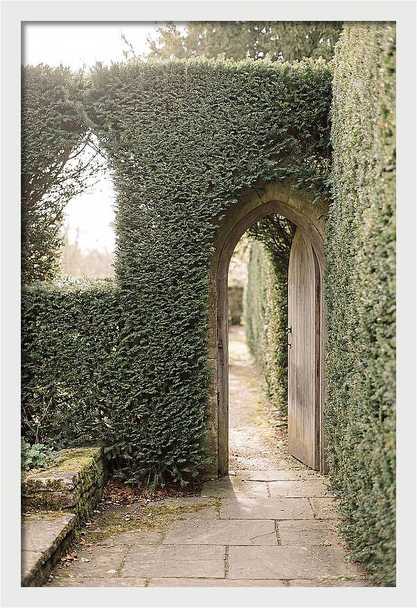 Garden Pathway Through Yew Hedges