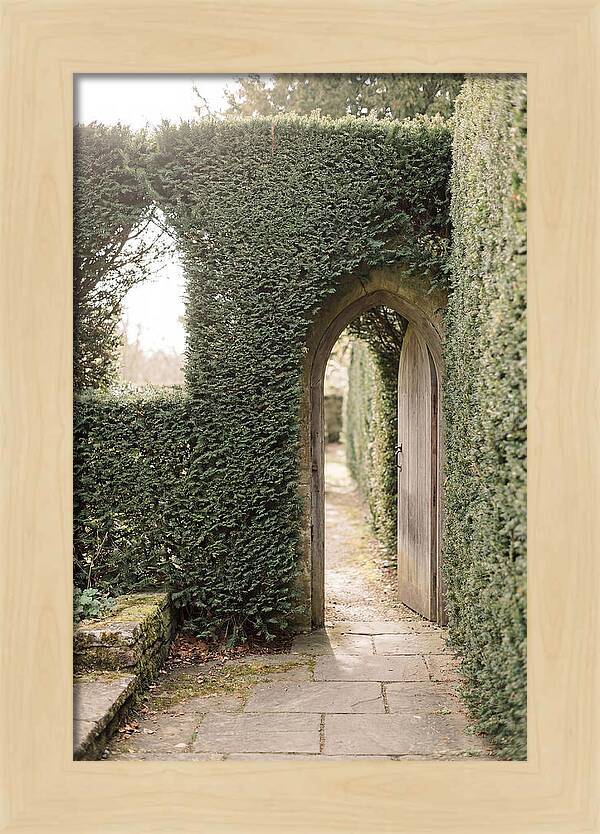 Garden Pathway Through Yew Hedges
