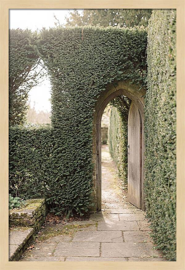 Garden Pathway Through Yew Hedges