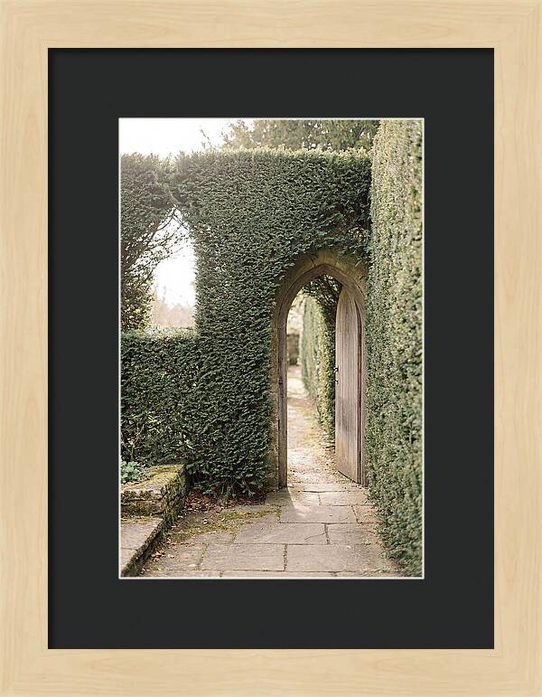 Garden Pathway Through Yew Hedges