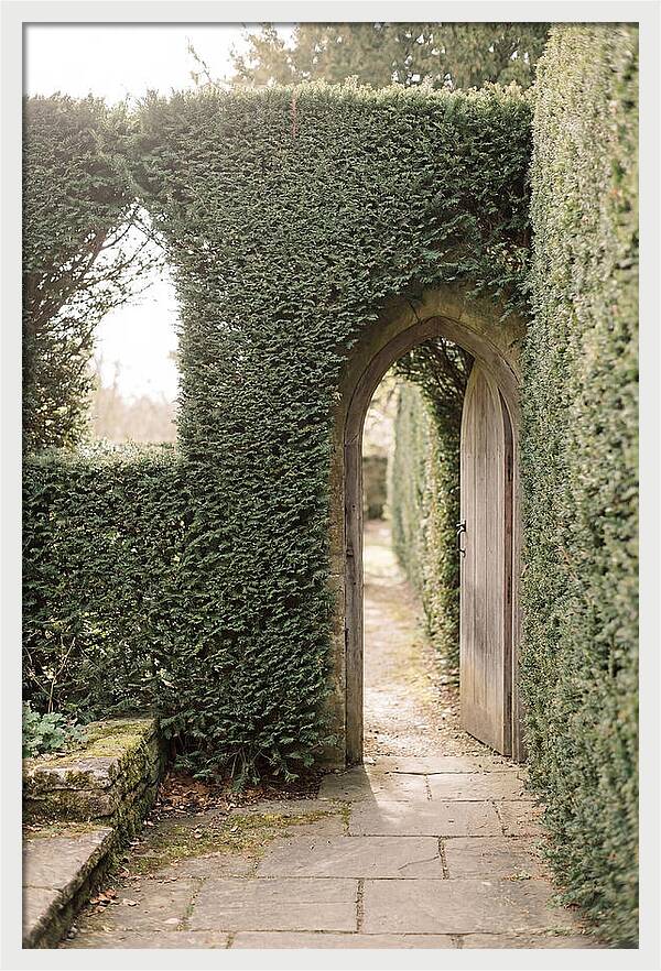 Garden Pathway Through Yew Hedges