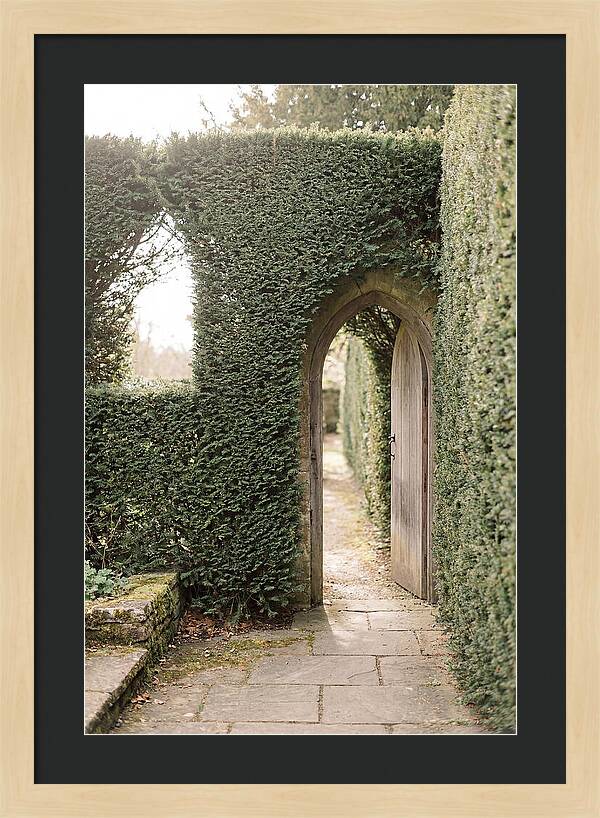Garden Pathway Through Yew Hedges