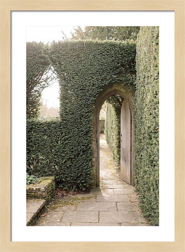 Garden Pathway Through Yew Hedges