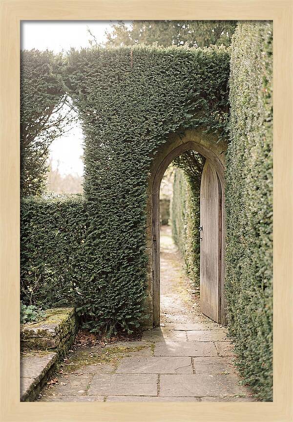 Garden Pathway Through Yew Hedges
