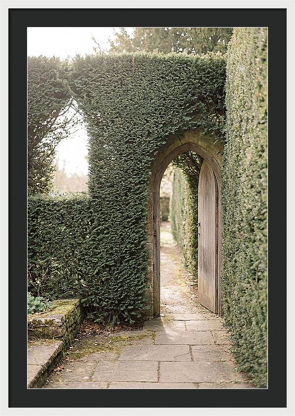 Garden Pathway Through Yew Hedges