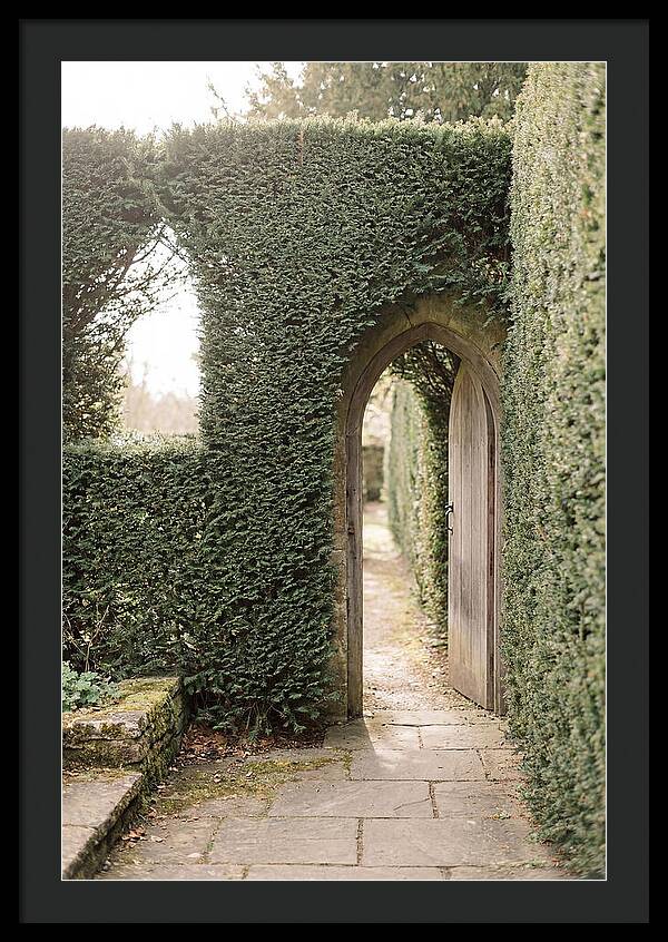 Garden Pathway Through Yew Hedges
