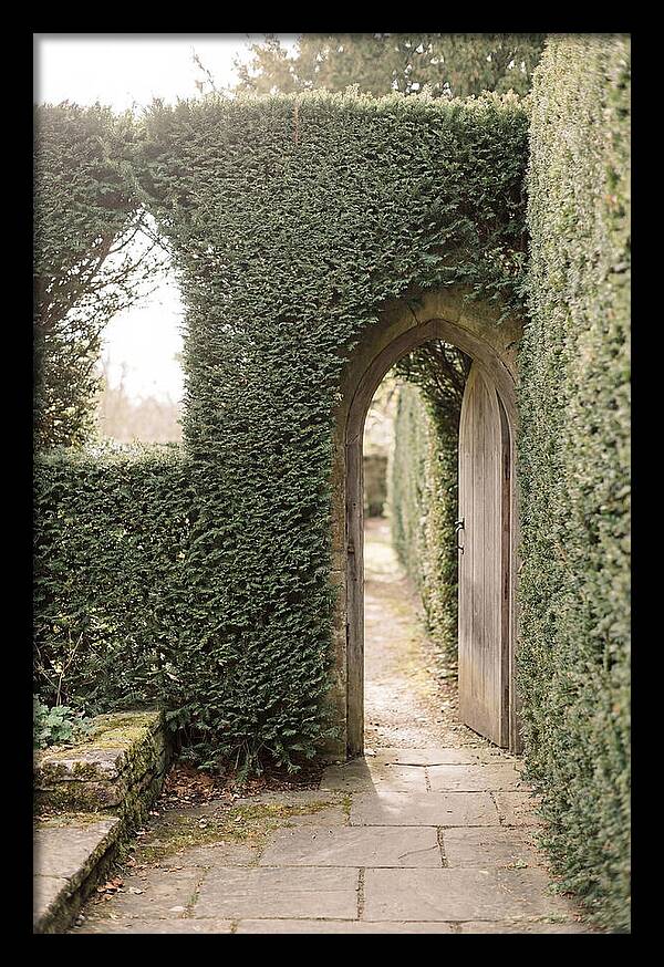 Garden Pathway Through Yew Hedges