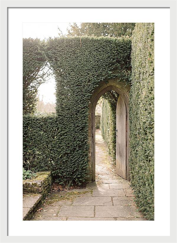 Garden Pathway Through Yew Hedges