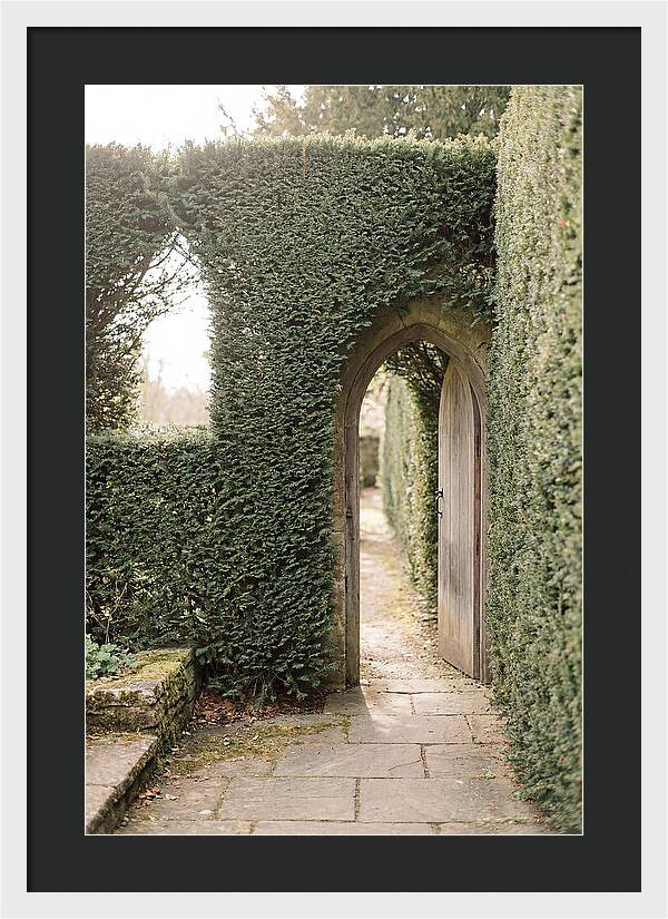 Garden Pathway Through Yew Hedges