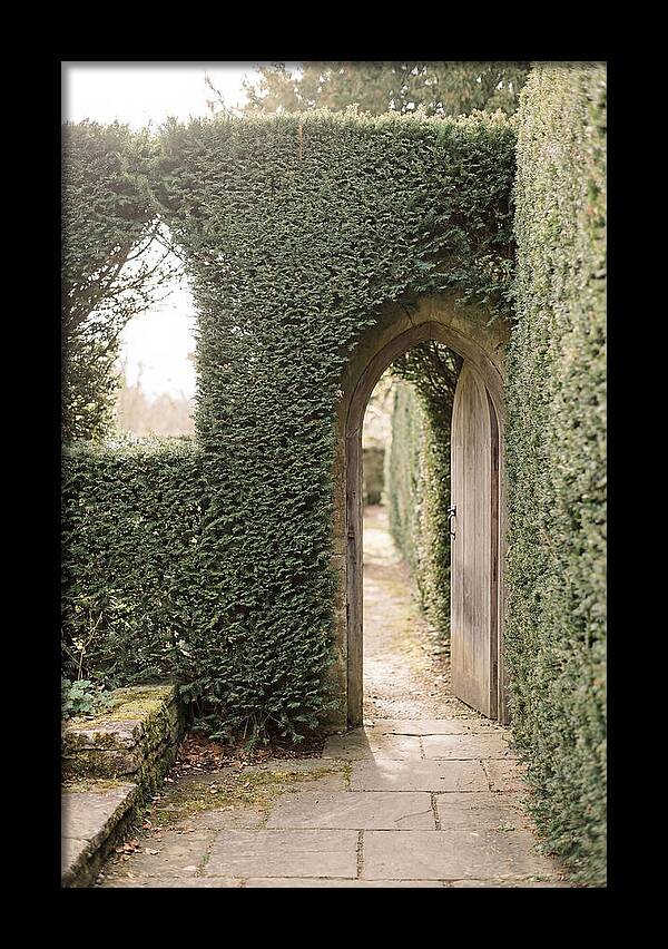 Garden Pathway Through Yew Hedges