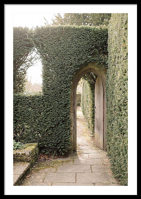 Garden Pathway Through Yew Hedges