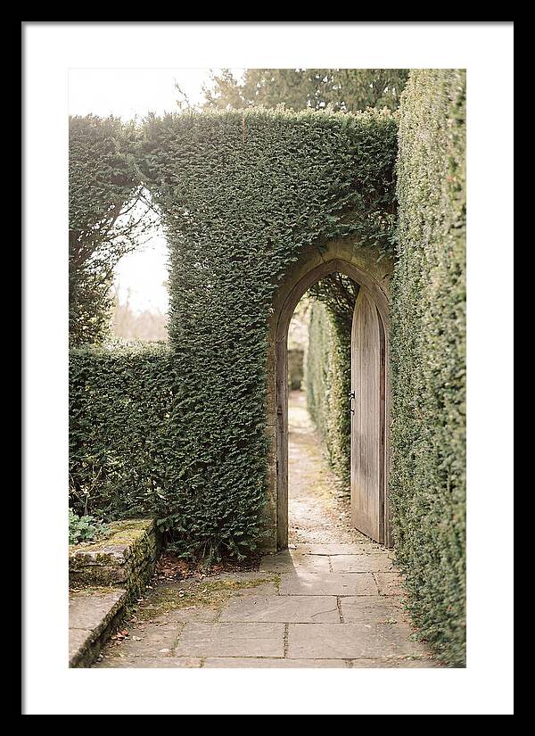 Garden Pathway Through Yew Hedges