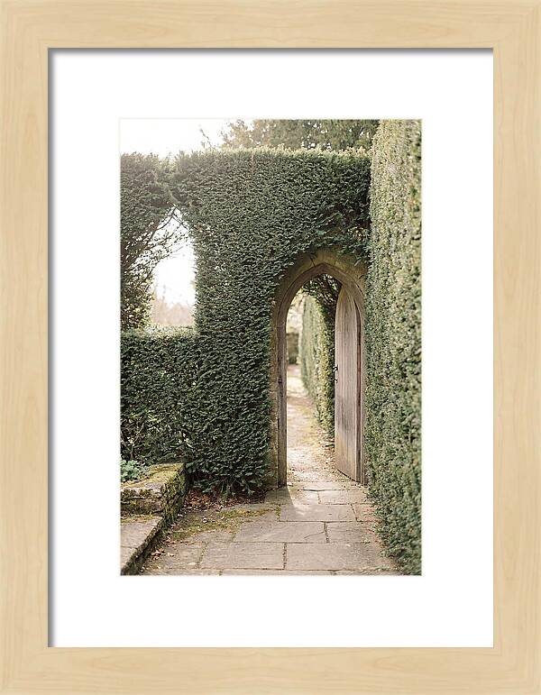 Garden Pathway Through Yew Hedges