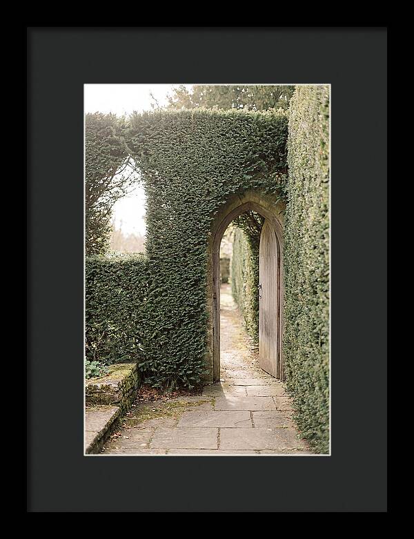 Garden Pathway Through Yew Hedges