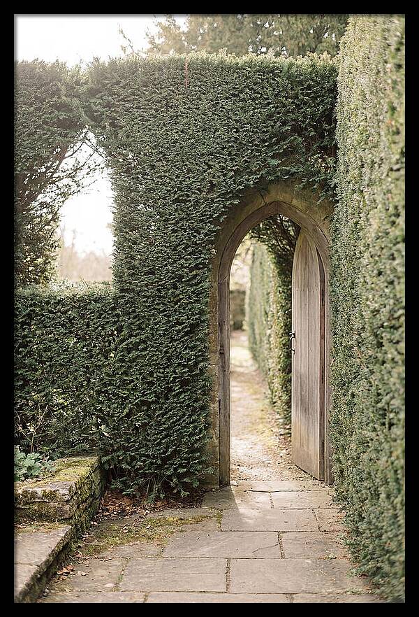 Garden Pathway Through Yew Hedges