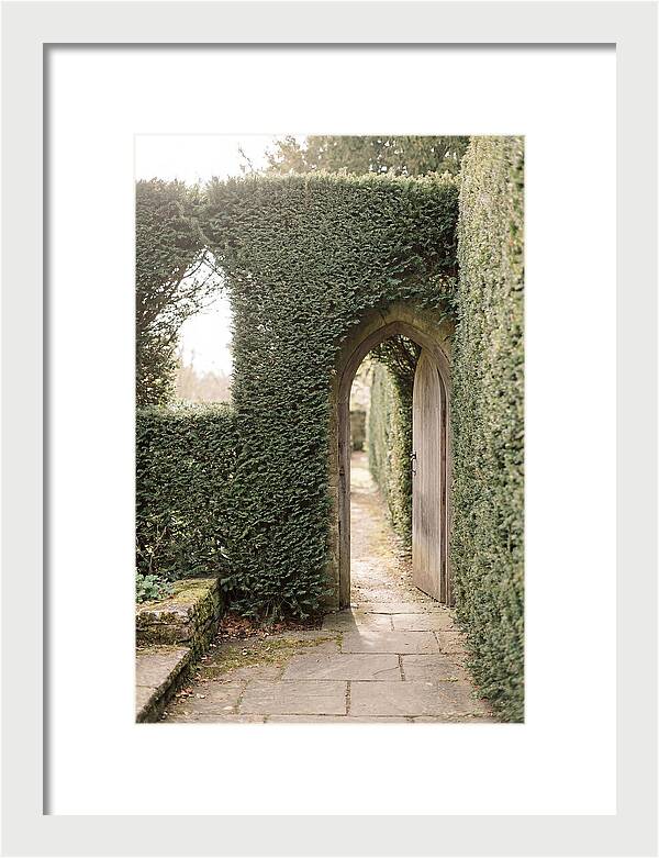 Garden Pathway Through Yew Hedges